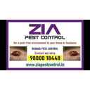 Bedbug Pest Control Effective Treatment Photo 1