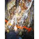 California Gold Mine For Sale Photo 2