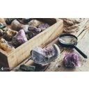 Rock, Mineral & Crystal Business With Land Photo 1